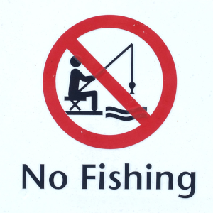 Five Simple Ways to Spot Phishing Emails