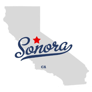 Sonora CA businesses trust NTELgic for their technology solutions