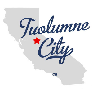 NTELogic serves Tuolumne City CA with data backup
